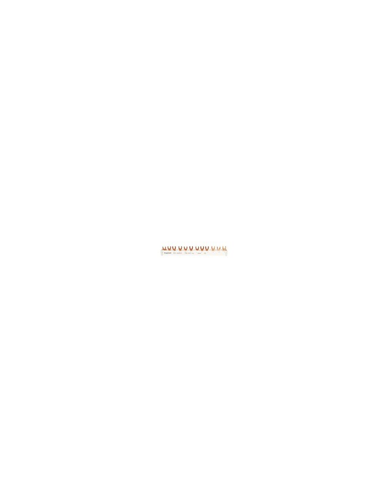 Legrand fourche peigne à 4 pôles 3x4 16mm ² TE 12 MONSIEUR-OUTILLAGES/OUTILLAGE LEGRAND pas cher